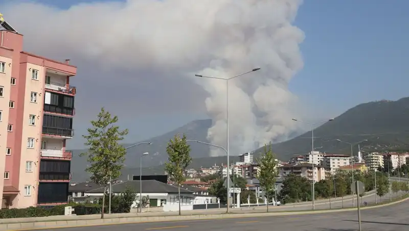 Denizli'de Orman Yangını: Korkutan Olay ve Gözaltı Süreci