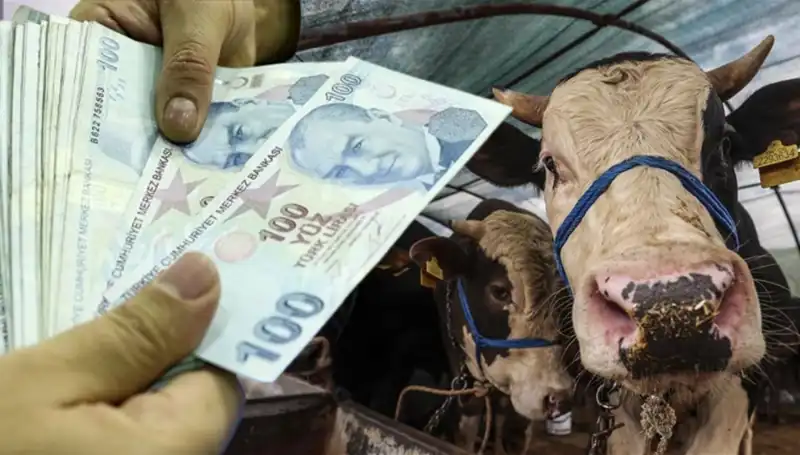 Kurban Bayramı öncesi maaşlar ne zaman yatacak? Tüm detaylar burada!