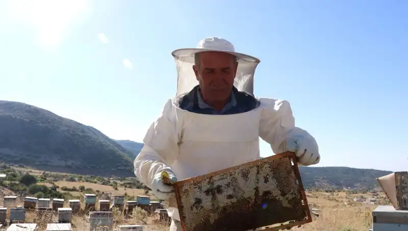 25 Yıl Sonra Tekrar Mobilya Üretimine Dönüş: İki Ton Ahşap Tasarım