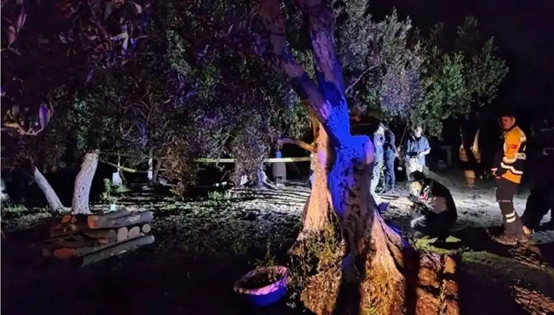 Çiftlikte Baltalı Vahşet: Olayın Ardındaki Gizemli Tutuklama