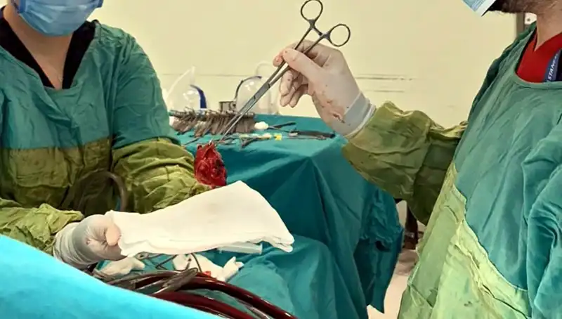 Kalp Kapağı Çürümüş: 7 Saatlik Ameliyat Sonrası Hayata Dönüş