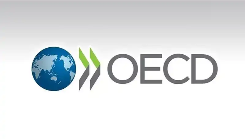 OECD, Türkiye Ekonomisi İçin Büyüme Tahminlerini Yeniden Belirledi
